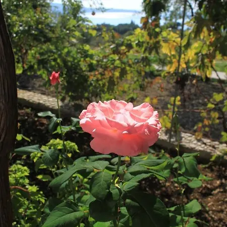 With Parking Space Brsecine, Dubrovnik - 8549 Trsteno
